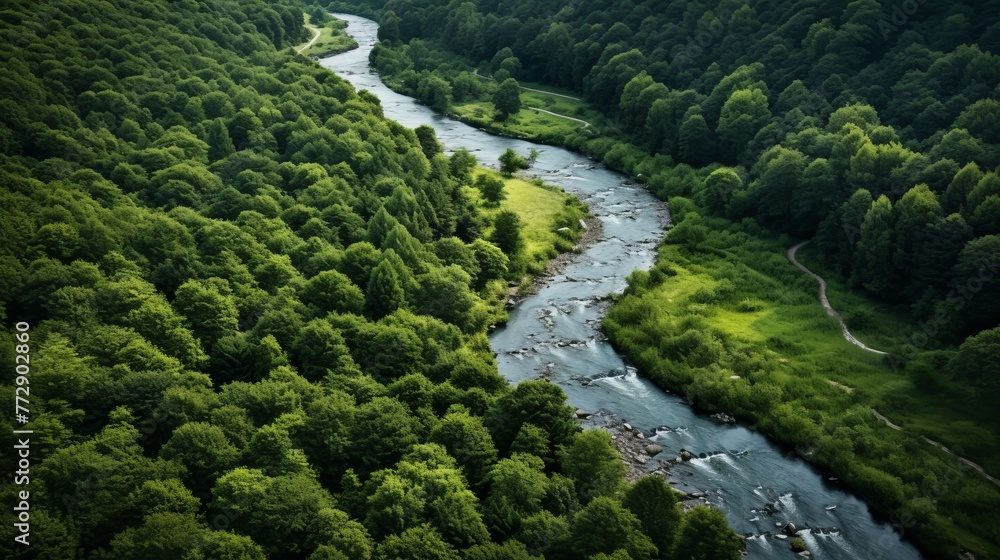 A meandering river in a green forest a peaceful and relaxing scene A meandering river in a green forest a peaceful and relaxing scene