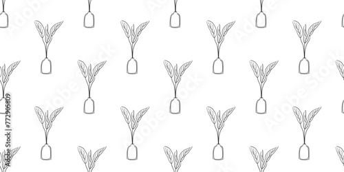 Seamless botanical Pattern in outline style. Leaves in pot nature illustration. Vector design room elements in black and white color