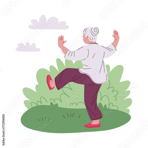 Vector of Tai Chi classes for older women. Peaceful outdoor exercise.