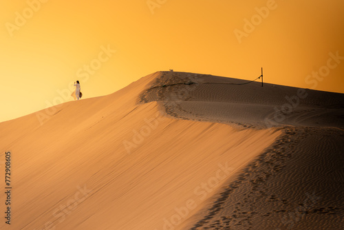 Aerial view of Vietnamese woman wearing ao dai dress across sand dunes in Ninh Thuan province  Vietnam. It is one of the most beautiful places in Vietnam