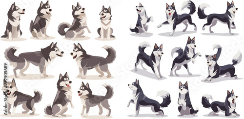 Active huskies animal characters. Siberian husky pedigree puppy dog