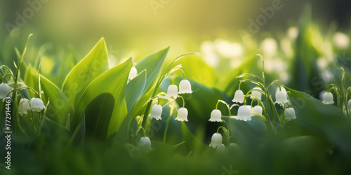Spring background with lily of the valley flowers. Beautiful floral background for decoration, banner and greeting card for Birthday, Mother's Day, Women's Day, Wedding photo