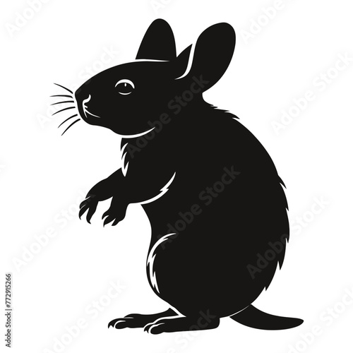 Chinchilla Silhouette