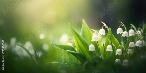 Lily of the Valley Flowers (Convallaria majalis). Spring Flowers. Beautiful floral background for decoration, banner and greeting card for Birthday, Mother's Day, Women's Day, Wedding