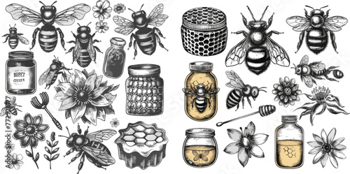 Insect bee drawing, honeycomb and organic flower nectar jars