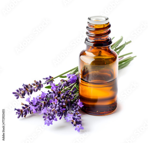 Aroma oil of lavender flower