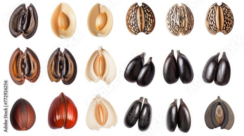 Seeds set collection. Isolated on white background Generative AI