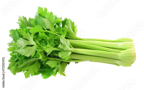 Verdant Celery isolated on transparent Background