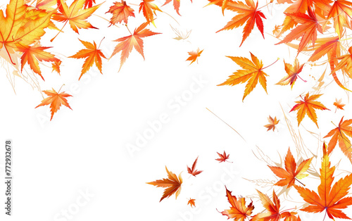 Autumn Maple Leaves isolated on transparent Background