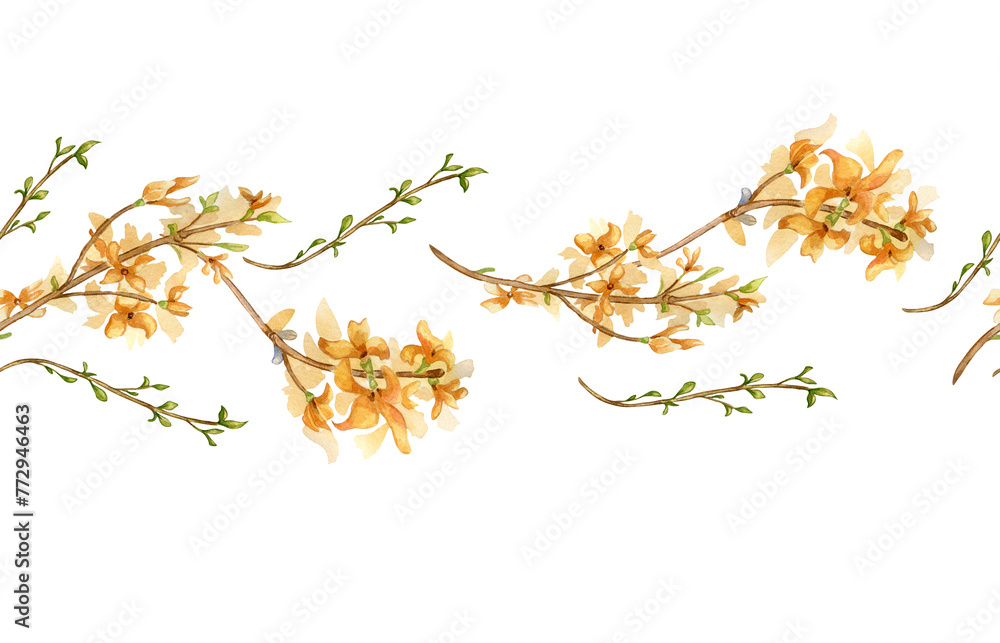 Seamless border of watercolor first yellow spring flowers isolated on white. Floral template frame. Blooming forsythia branch hand drawn. Flower sketch for greeting card, package, label