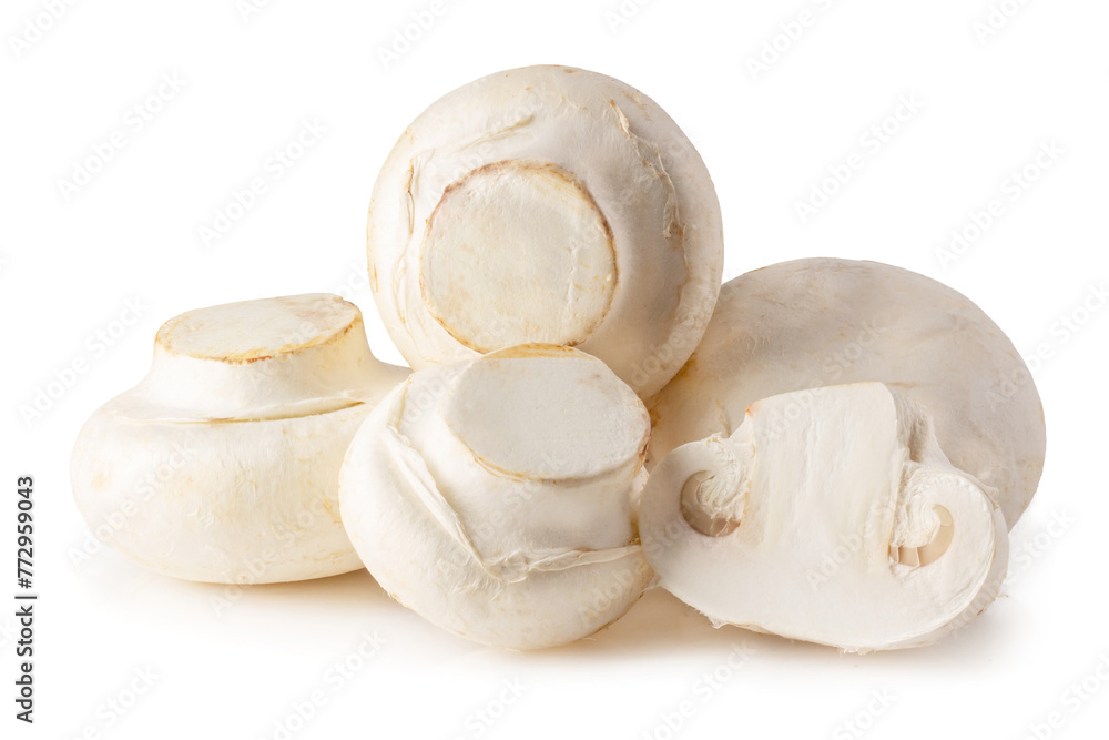White champignon mushrooms, Champignon Isolated on a White Background. White champignon mushrooms, Champignon Isolated on a White Background.