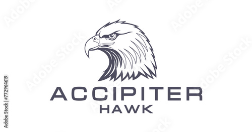 Vector graphic monochrome logo. The head of a brutal hawk. Portrait of accipiter. Heraldic bird. White isolated background.