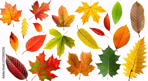 Fall Foliage Frenzy A Seasonal Spectacle of Leaves Generative AI