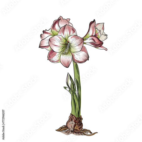 botanical wildflowers hand drawing style vector  (ID: 772966207)