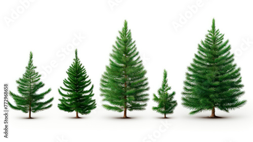 Group of trees on a white surface