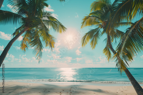 palm tree on the beach © Jian