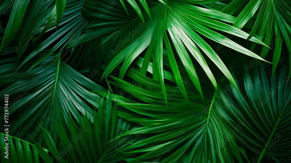 Green leaves on black background Green leaves on black background