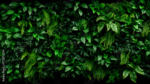 A lush green plant wall up close