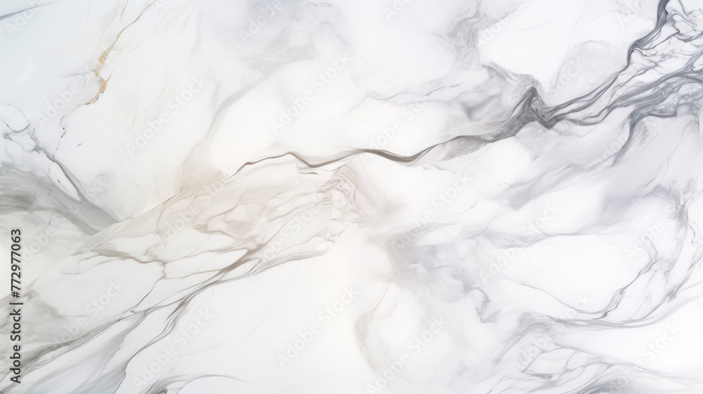 Obraz premium Black and white marble texture design
