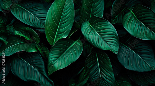 Green plant with lush leaves