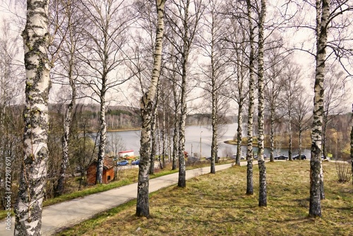 Vlasina lake - trees in the park