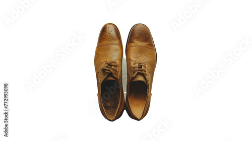 pair of gold shoes