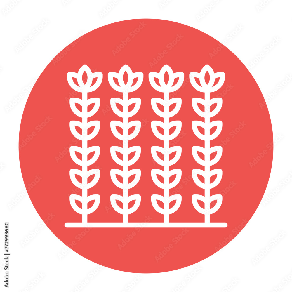 Wheat icon vector image. Can be used for Agriculture.