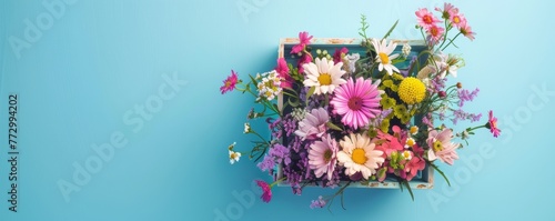 Assorted flowers in a box on blue background © iVGraphic