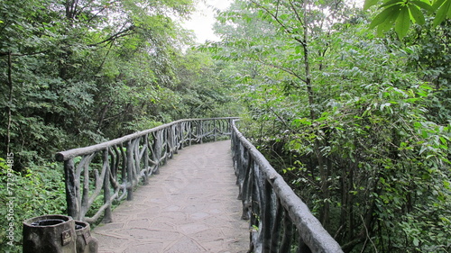 G10 China Selva verde Bosque virgen naturaleza