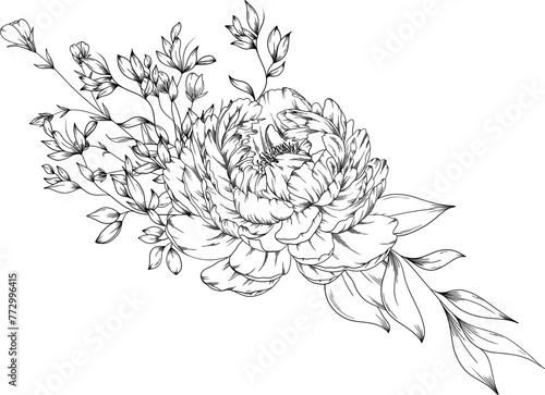 Hand drawn Peony floral arrangement with leaves and branches.