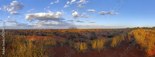 Foto Panoramic picture over the Namibian Kalahari in the evening at sunset with blue