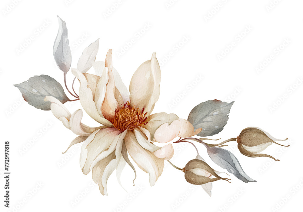 Floral arrangement with beige blooming roses on a white background