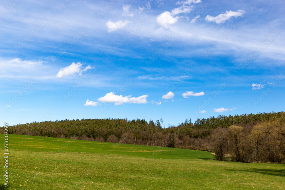 Springtime rural landscape in cenrtal Europe