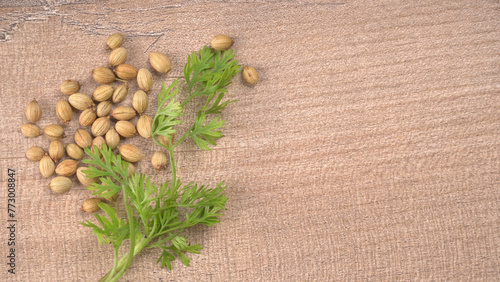 Dried coriander seeds with fresh green leaf isolated on wooden background. Top view. Flat lay