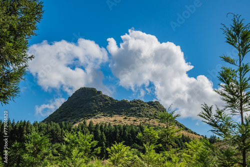 Cryptomeries defocused by movement with volcanic crater Pico Gaspar in background on Terceira island with blue sky, Azores PORTUGAL