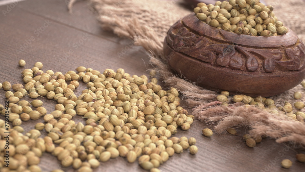 Obraz premium Dry coriander seeds with small bamboo spoon and green fresh bunch coriander leaves,famous spices ingredients in asia's kitchen.