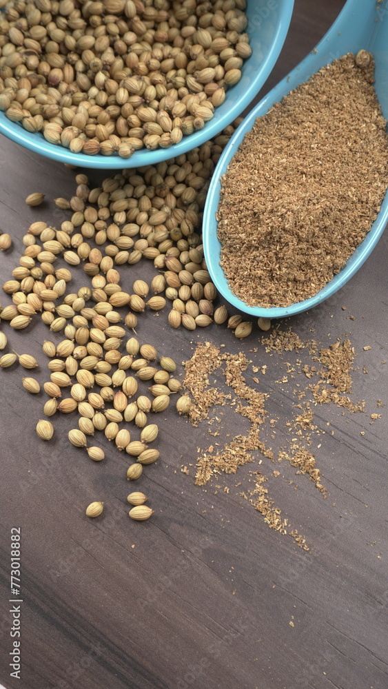 Coriander seeds and coriander Powdered, Indian Spices and herbs. Coriander seeds and coriander Powdered, Indian Spices and herbs.
