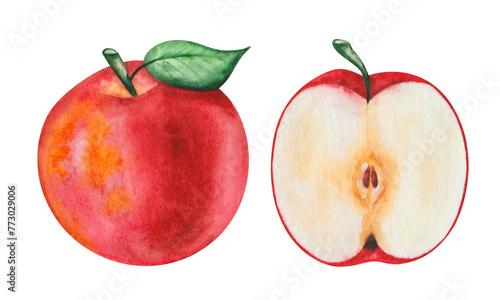 Watercolor set of illustrations. Hand painted apple ripe, raw, red, yellow with green leaf. Red round apple. Apple cut in half with seeds. Side view. Raw fruit. Harvest. Isolated food clip art