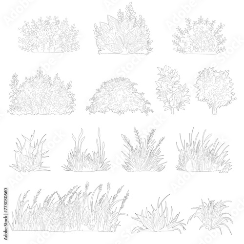 cad vegetation, linear illustrations photo