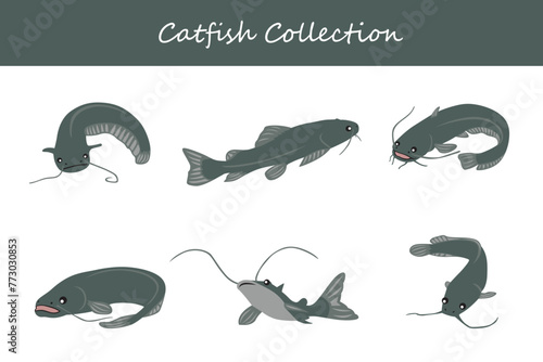 Cute cartoon catfish set. Vector illustration isolated on white background.
