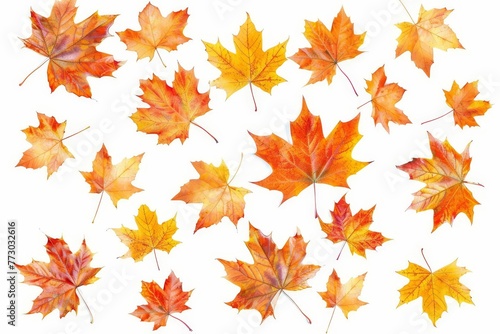 Scattered Autumn Dry Orange Maple Leaves, Isolated on White Background, Digital Illustration