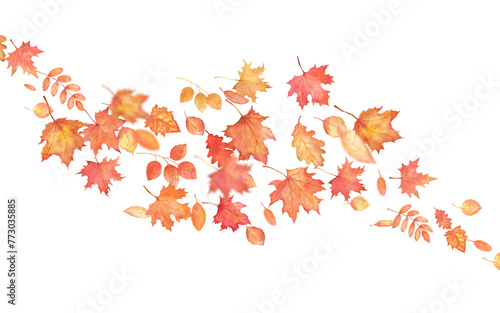 Autumnal foliage fall and orange maple leaves flying in wind motion blur. Watercolor autumn falling leaves on blow on transparent background.