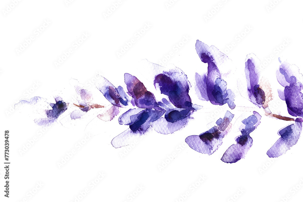 Lavender watercolor wash on transparent background. - obrazy, fototapety, plakaty 