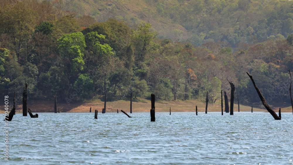 Beautiful Images from Periyar Tiger Reserve, western ghats Beautiful Images from Periyar Tiger Reserve, western ghats