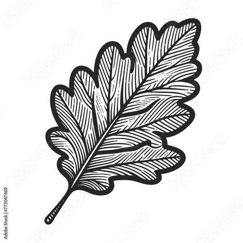 oak leaf a classic symbol of autumn sketch line art engraving generative ai raster illustration. Scratch board imitation. Black and white image.
