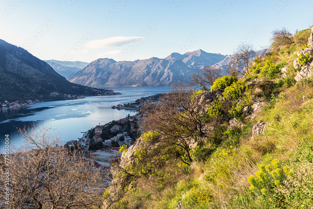Obraz premium Kotor Bay top view with vibrant natural colors, perfect for travel and lifestyle content. Montenegro, Balkans