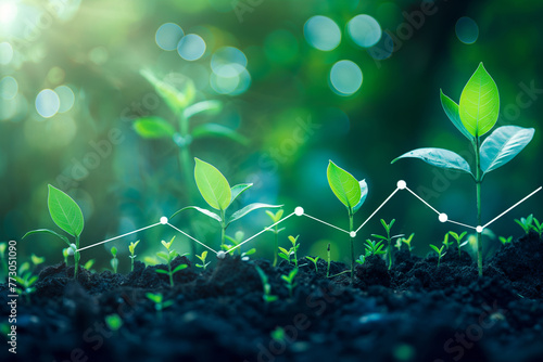 Growing plants in soil with a blurred background of green leaves The concept of growth development and business success photo