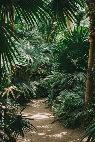 ground view of tropical forest exotic plants  