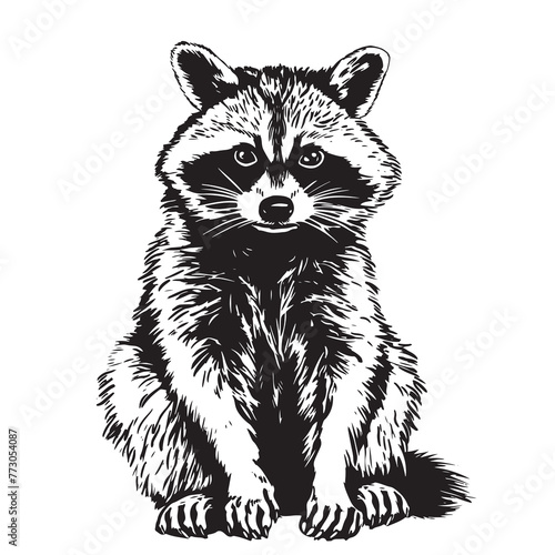Cute hand drawing raccoon sketch. Vector monochrome illustration.