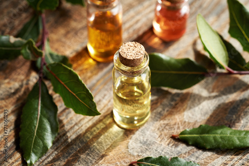 A bottle of aromatherapy essential oil with fresh bay leaf on a wooden table